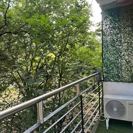 Apartment Elite Enclave